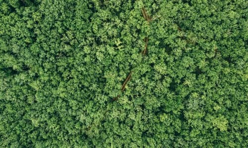 Drohnenführerschein 2024: Alle Regeln & Pflichten