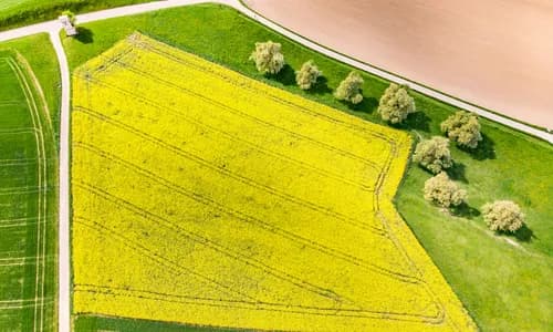 Drohnen-Klassen 2024 ✈️ Alle C0-C6 Kategorien erklärt