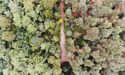 Was ist Geo-Fencing ✈️ bei Drohnen? | Sicherheit & Regeln